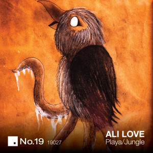 no19_19027_packshot